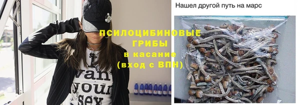 шишки Алексеевка