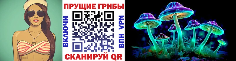 наркота  Спасск  блэк спрут как войти  Псилоцибиновые грибы Psilocybine cubensis 